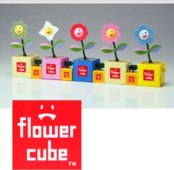 \#8 Takara Flower Cubes